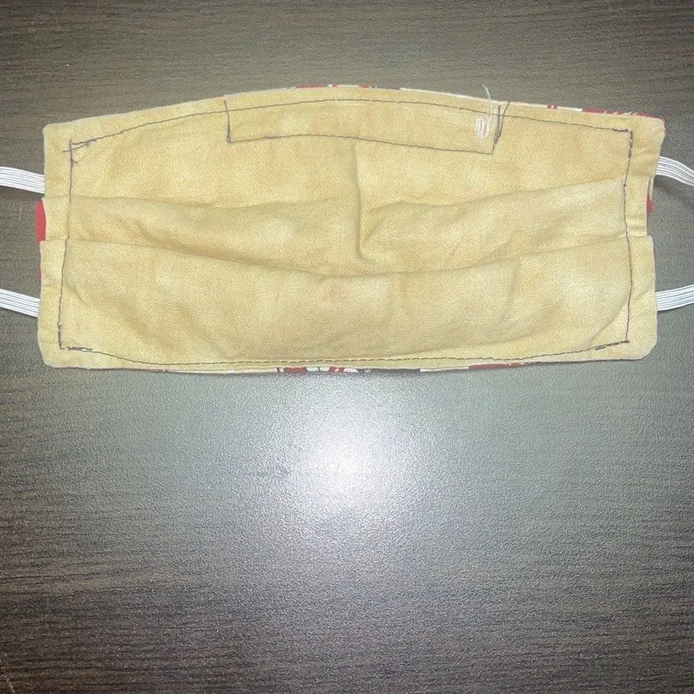 florida state seminoles flaws picture